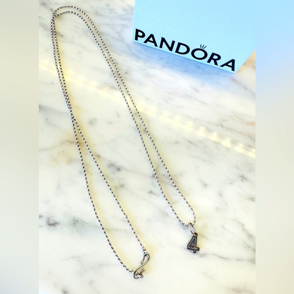 Pandora necklace & Charm